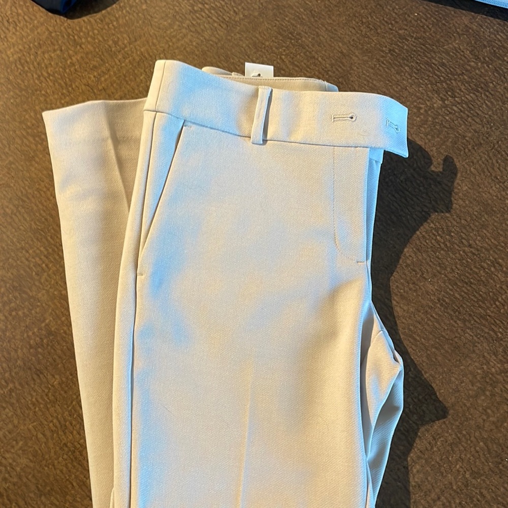 Loft Work Pants